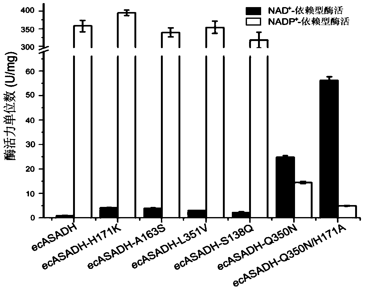 Aspartate-β-semialdehyde dehydrogenase mutant and its application