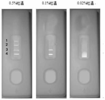 Method for rapidly detecting sibutramine in weight-reducing health food