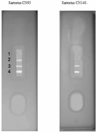 Method for rapidly detecting sibutramine in weight-reducing health food