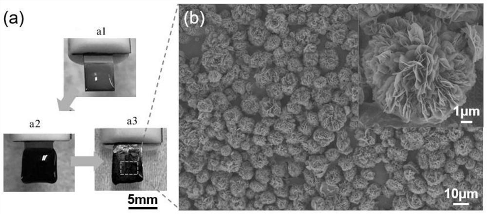 A method for constructing a conductive substrate soft interface, a microelectrode and its application