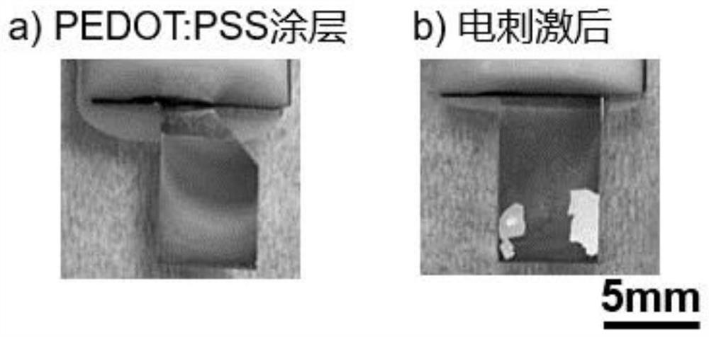 A method for constructing a conductive substrate soft interface, a microelectrode and its application