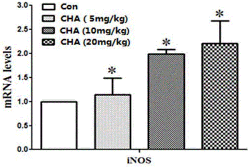 Application of chlorogenic acid in preparation of medicine for treating melanoma and medicine for treating melanoma