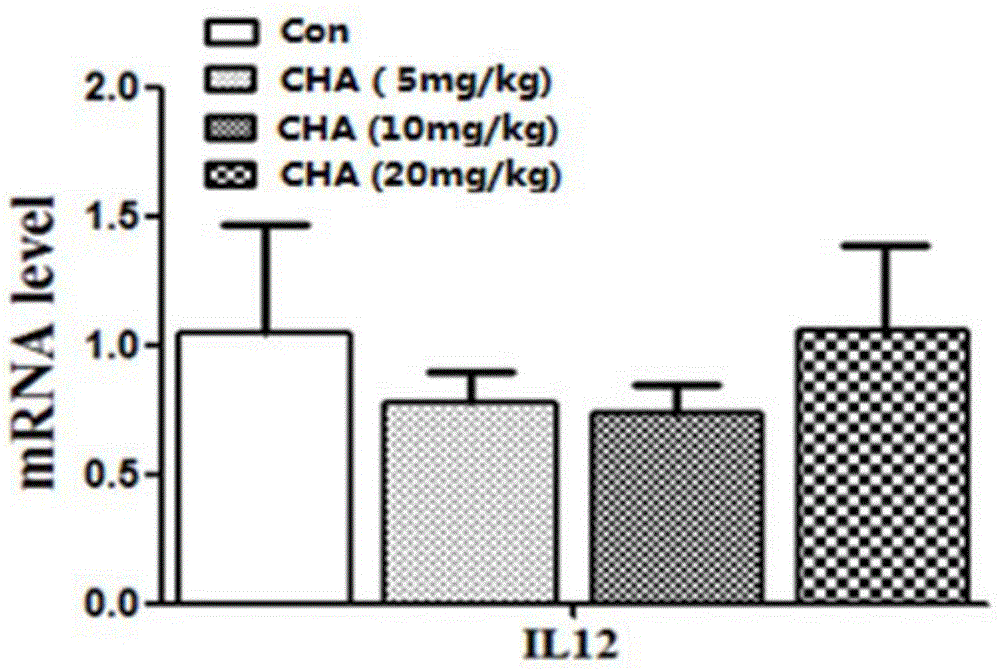 Application of chlorogenic acid in preparation of medicine for treating melanoma and medicine for treating melanoma