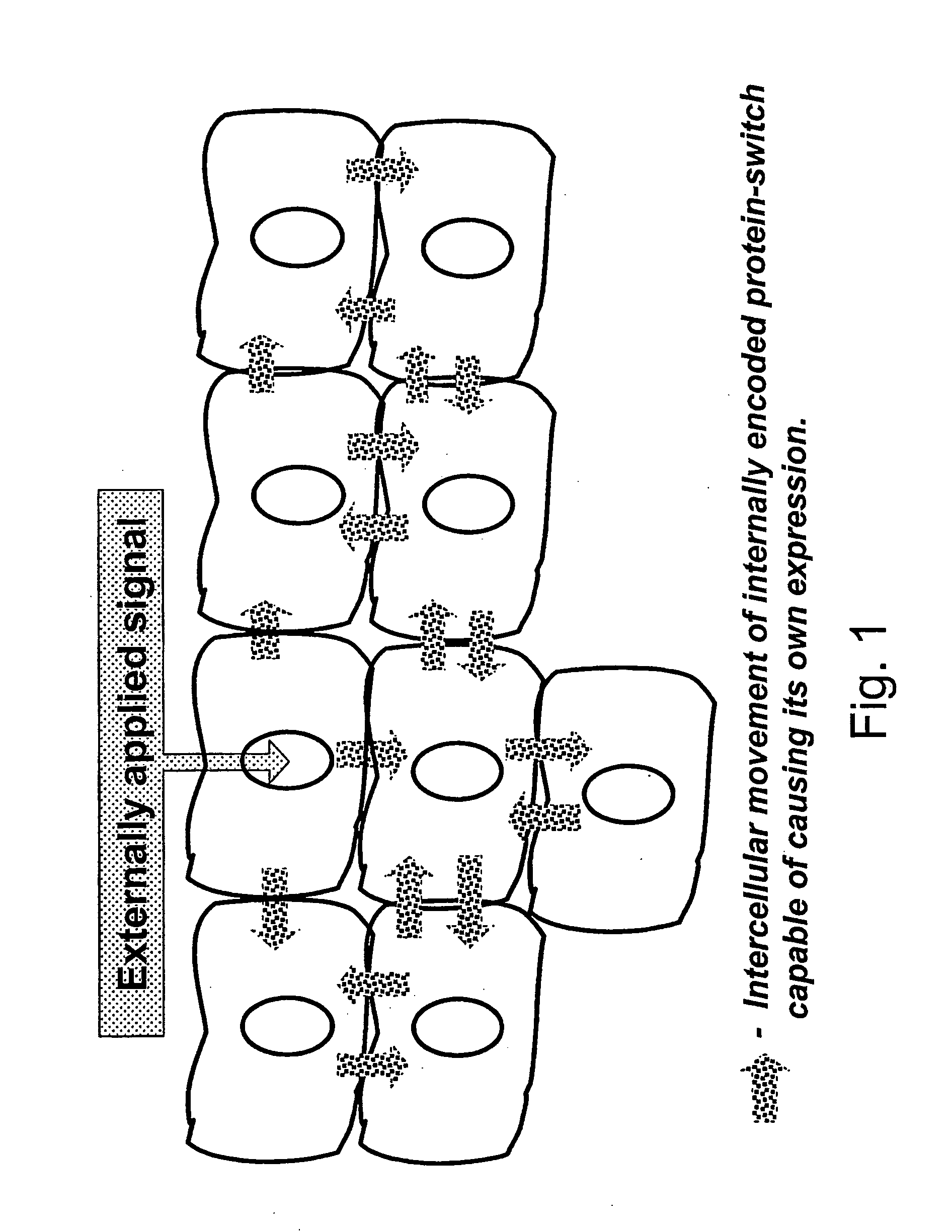 Method of controlling a cellular process in a multi-cellular organism