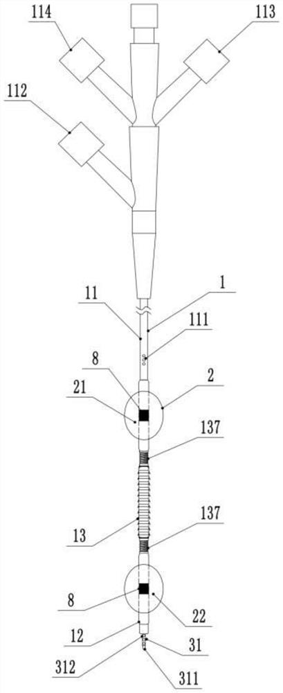 Double-balloon injection catheter instrument for blood vessel thrombolysis