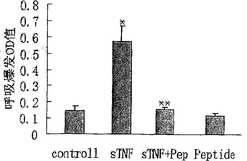 Tumor necrosis factor (TNF)-alpha binding peptide and tumor necrosis factor receptor 1(TNFR1) blocking peptide and applications thereof in treatment of TNF related diseases