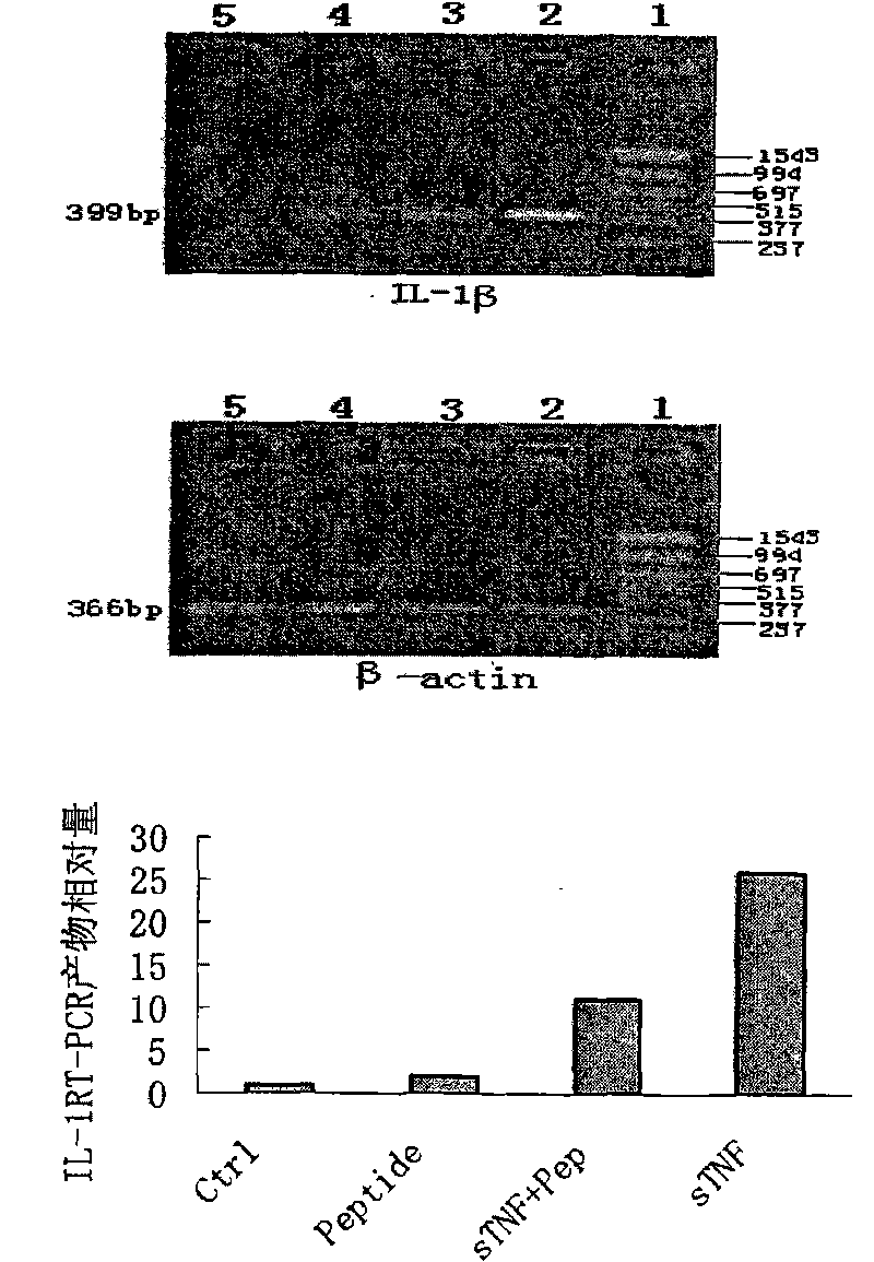 Tumor necrosis factor (TNF)-alpha binding peptide and tumor necrosis factor receptor 1(TNFR1) blocking peptide and applications thereof in treatment of TNF related diseases