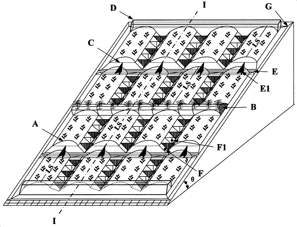 A kind of compound cultivation method and its structure of field hedgerow