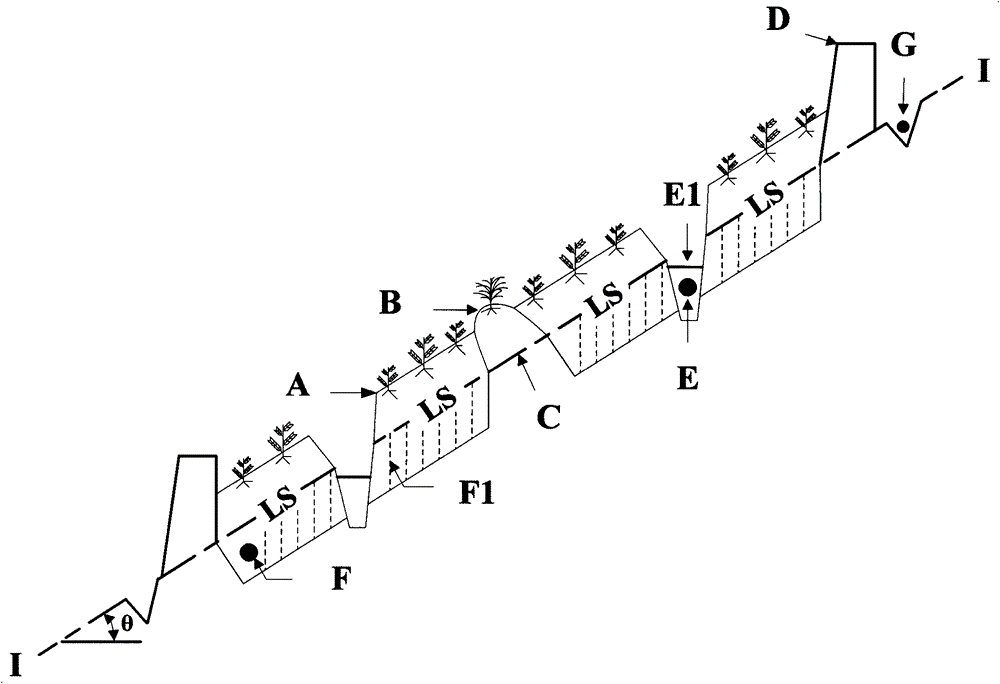 A kind of compound cultivation method and its structure of field hedgerow