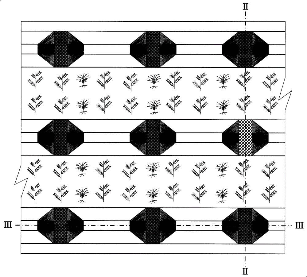 A kind of compound cultivation method and its structure of field hedgerow