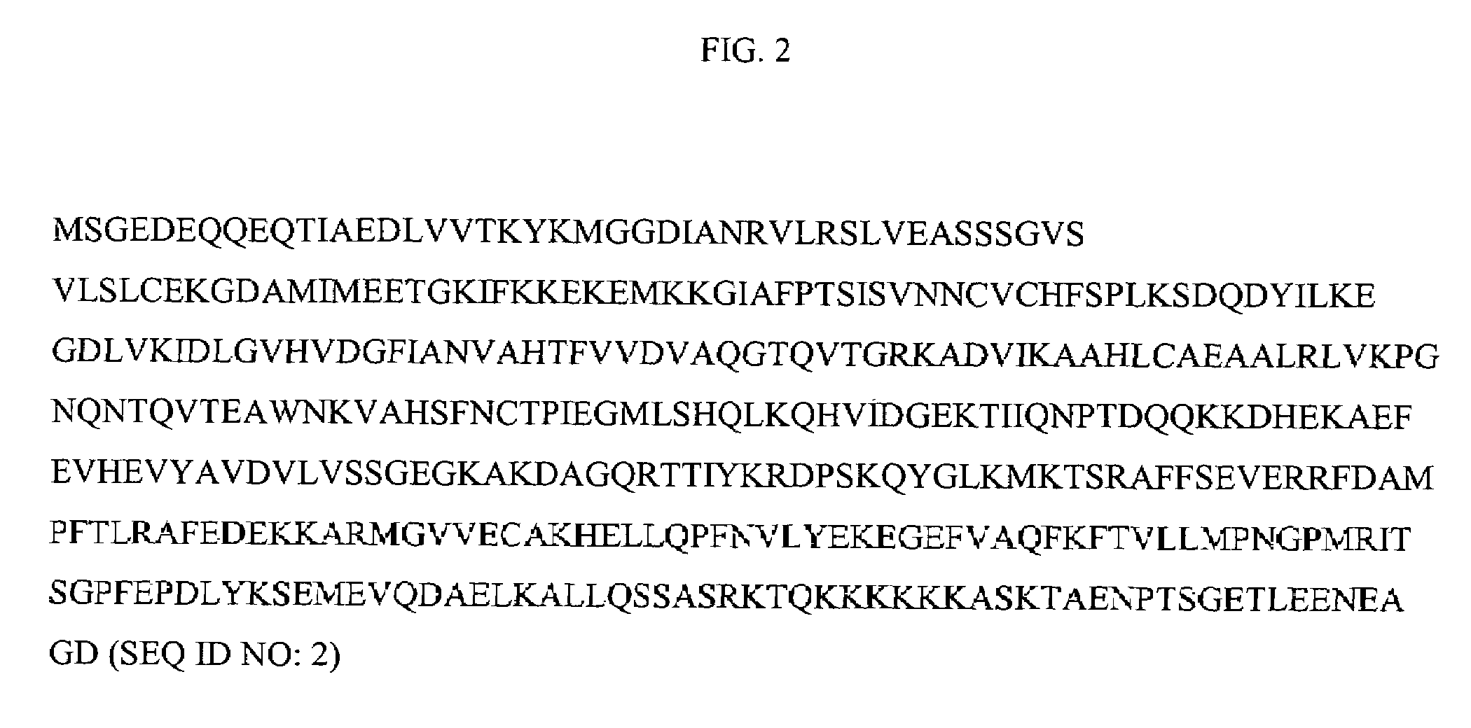 ErbB3 binding protein compositions and methods of use