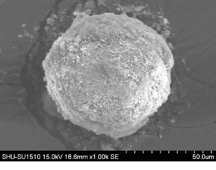 Method for preparing hollow glass microsphere coating titanium dioxide