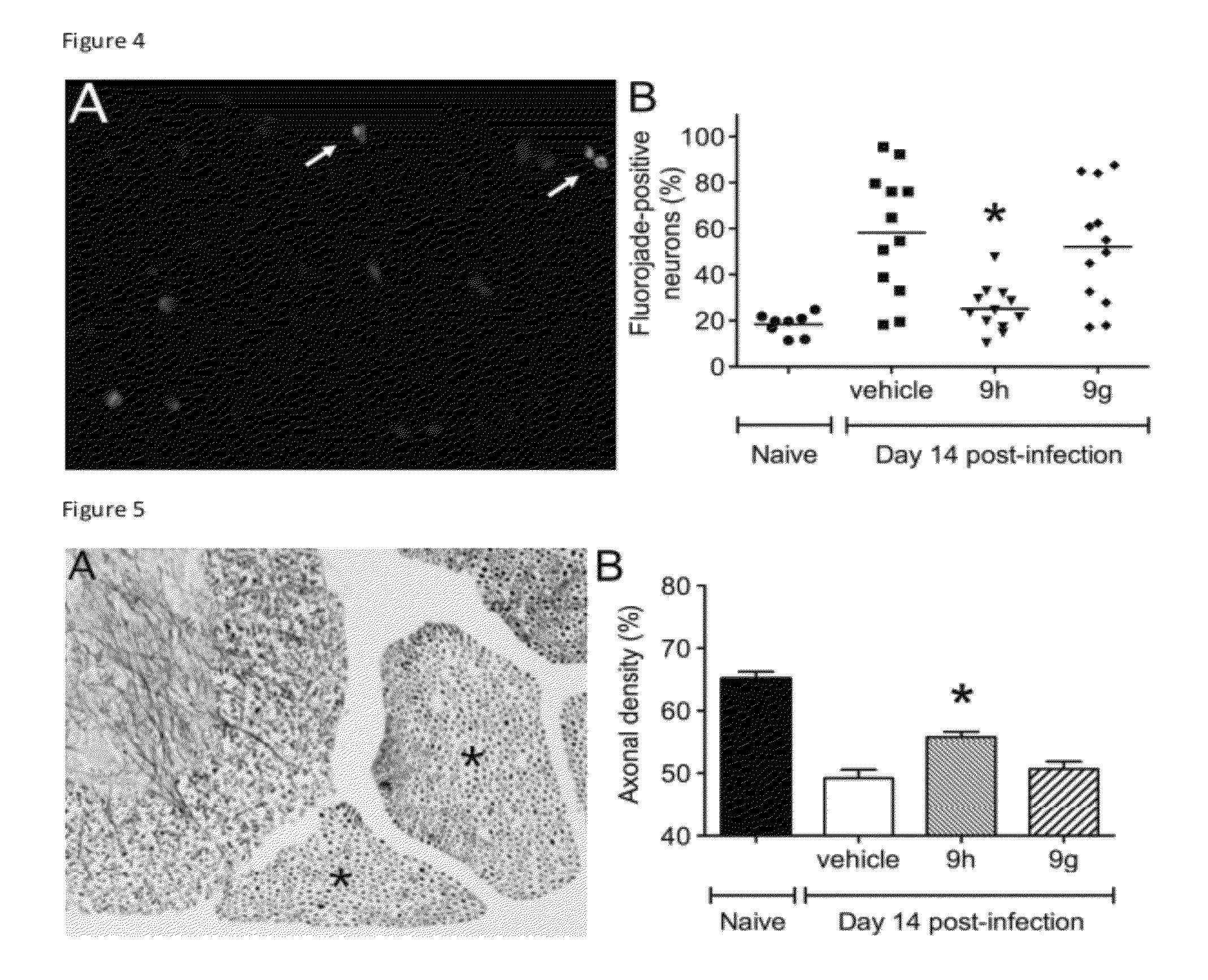 Arbovirus inhibitors and uses thereof