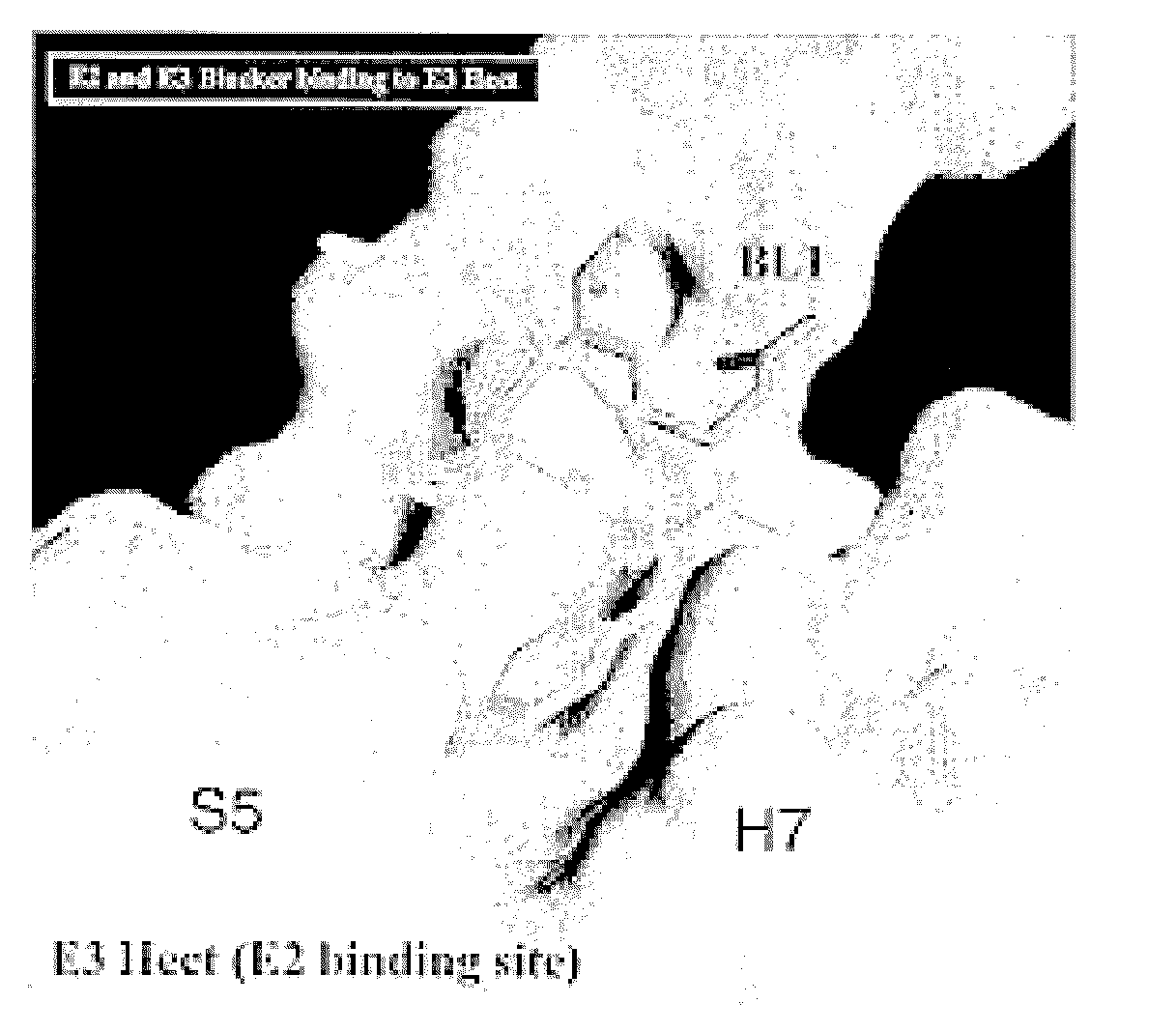 Inhibitors for disrupting the interaction of ubiquitination related enzymes and uses thereof