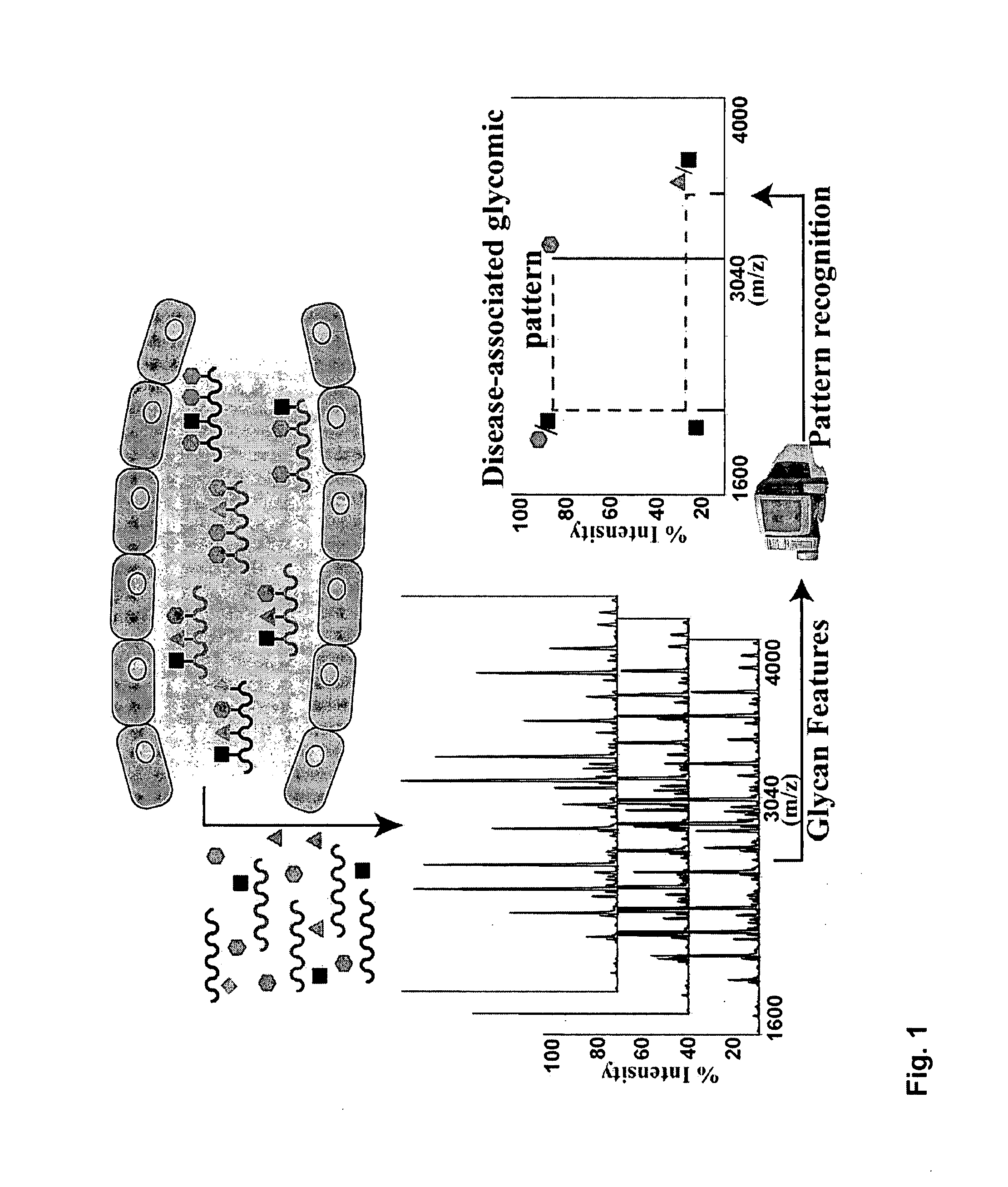 Glycomic patterns for the detection of disease