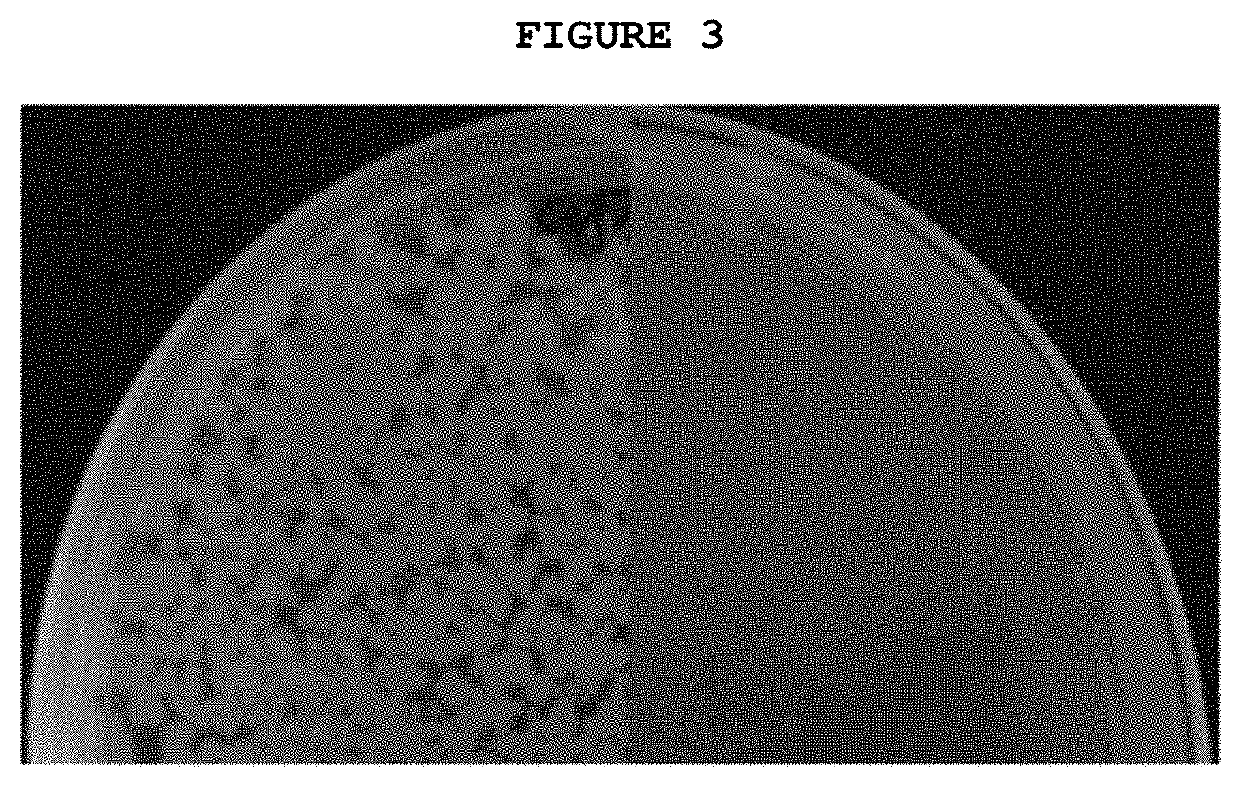 Antimicrobial coating composition and antimicrobial coating method using same