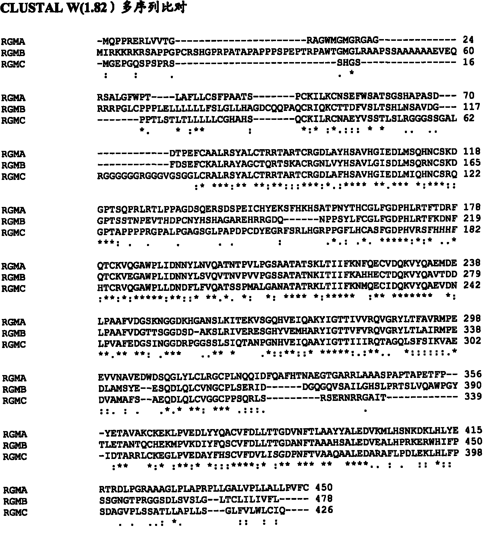 Bone morphogenetic protein (bmp)-binding domains of proteins of the repulsive guidance molecule (rgm) protein family and functional fragments thereof, and use of same