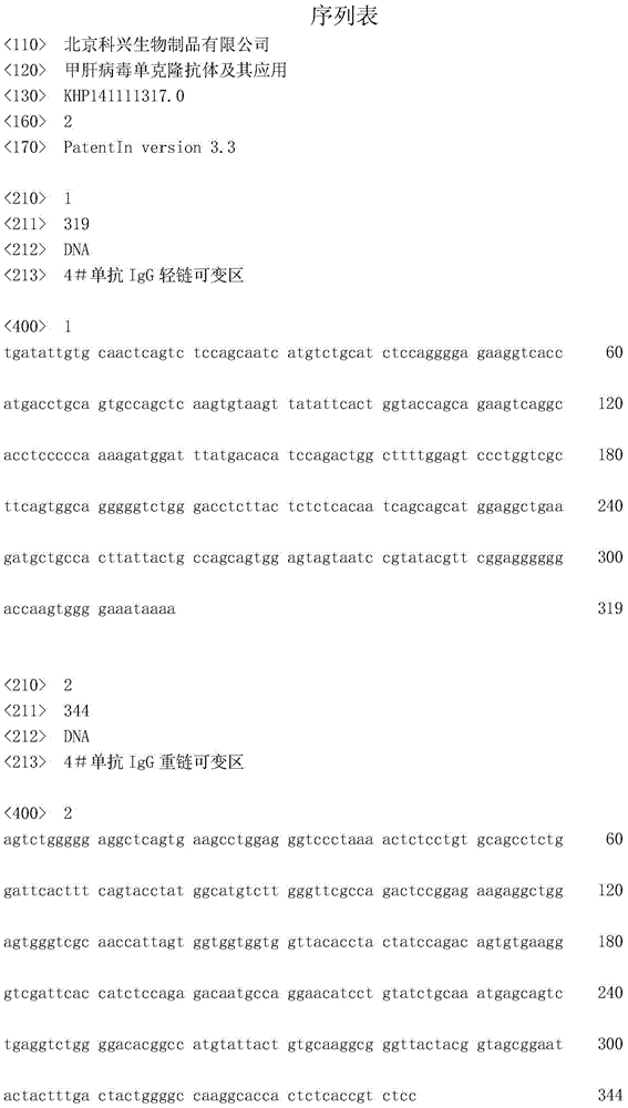 Hepatitis A virus monoclonal antibody and its application