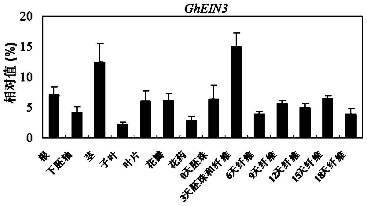 Identification and application of a new cotton fiber development-related gene ghein3