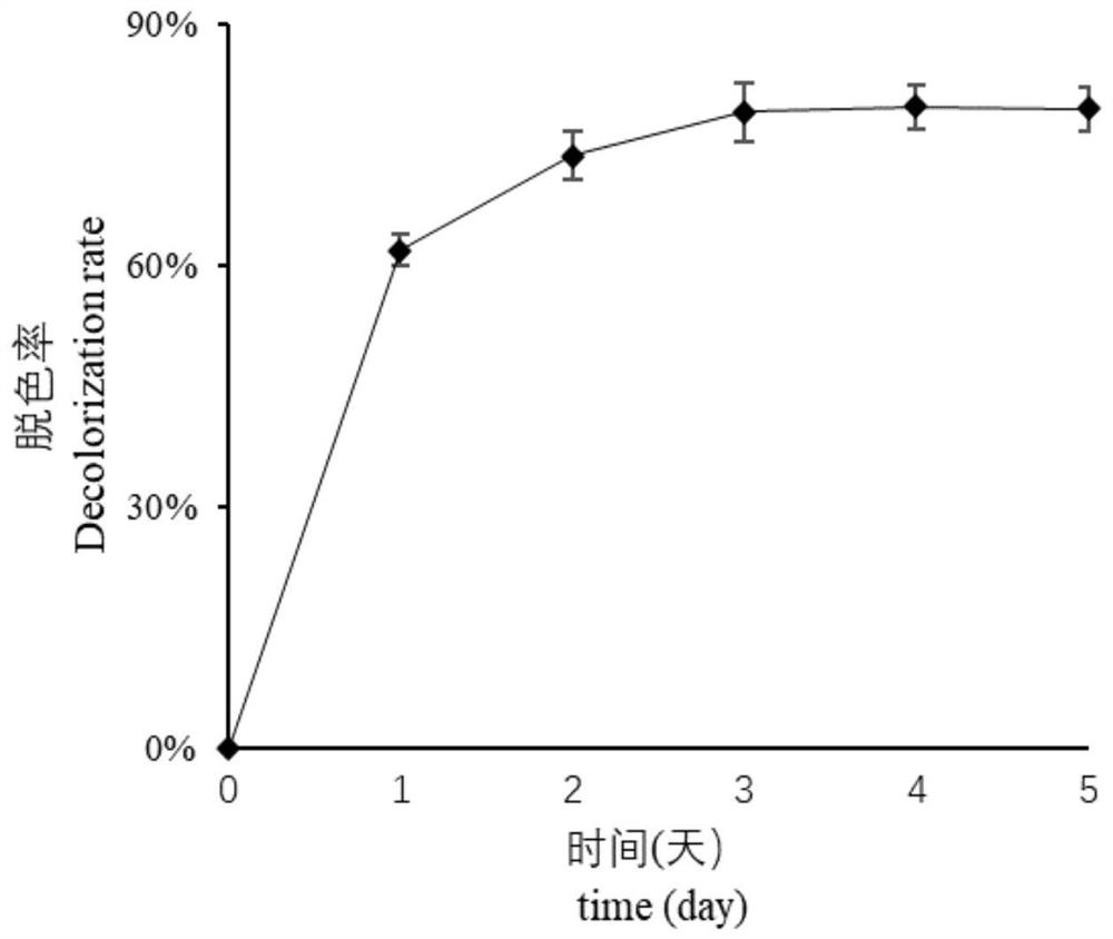 Microbial method capable of efficiently decolorizing gentian violet in dye wastewater