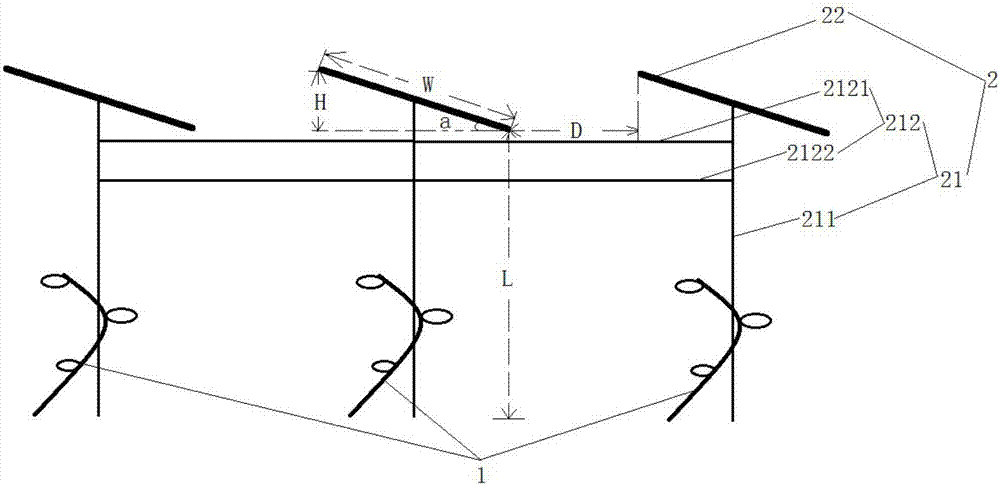 Ventilating, wind-preventing and freezing-preventing method for kiwi fruit orchard combined to photovoltaic power station