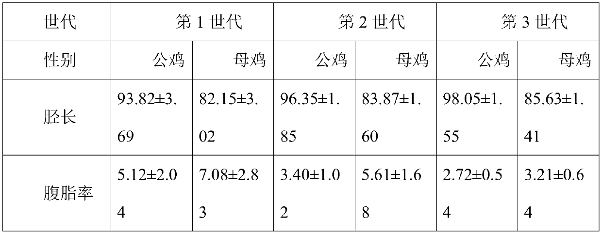 Method for breeding high-quality chickens low in abdominal fat percentage