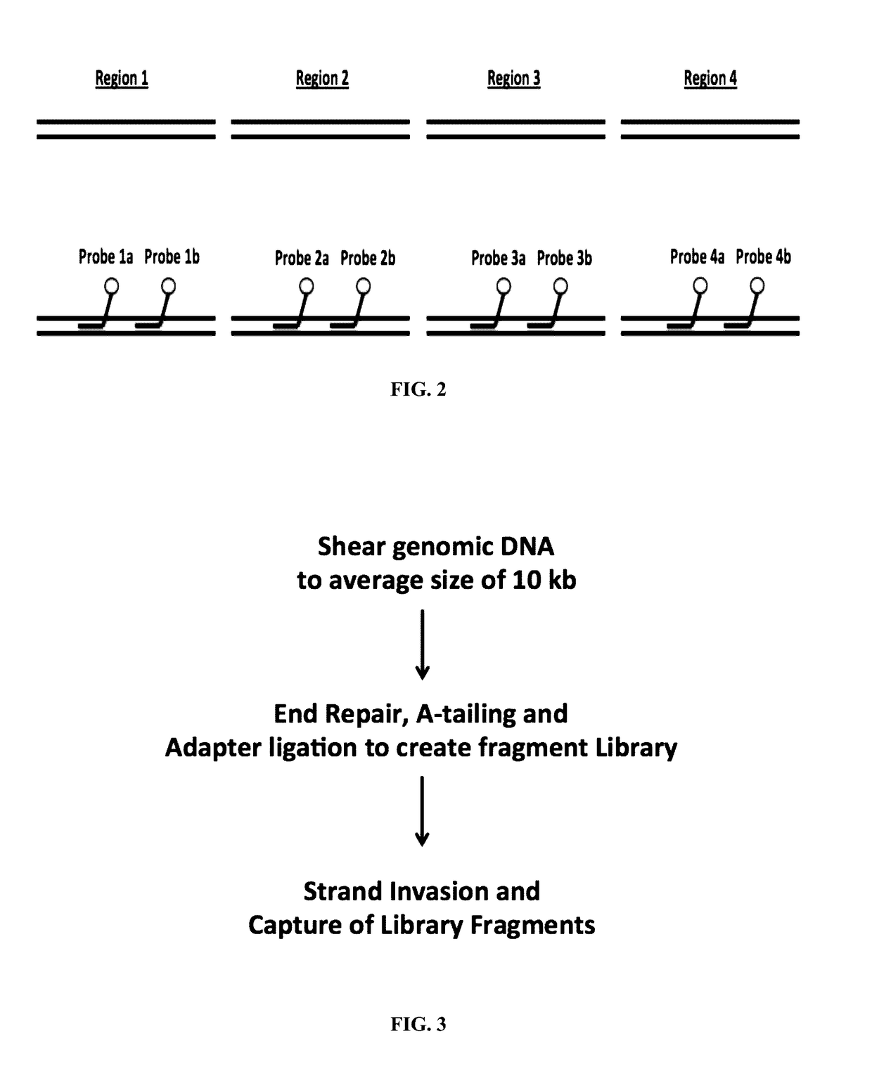 Methods and compositions for genomic target enrichment and selective DNA sequencing
