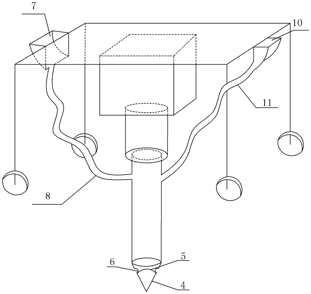 Method for carrying out seeding and fertilization on walnuts