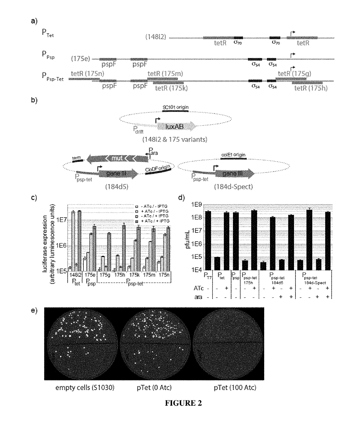 Negative selection and stringency modulation in continuous evolution systems