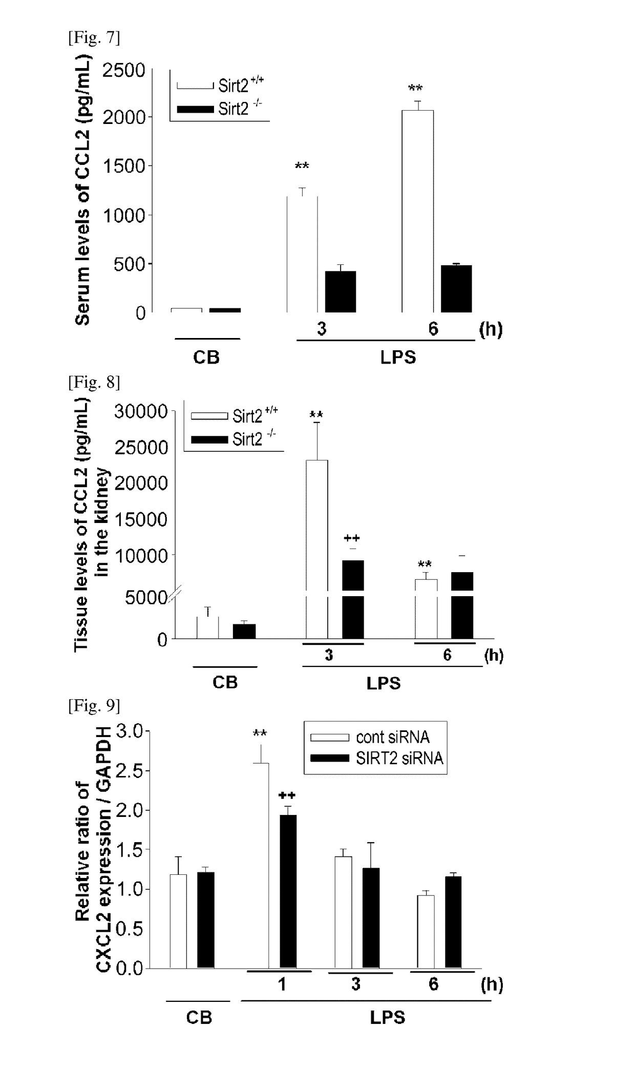 Pharmaceutical composition containing sirt2 inhibitor