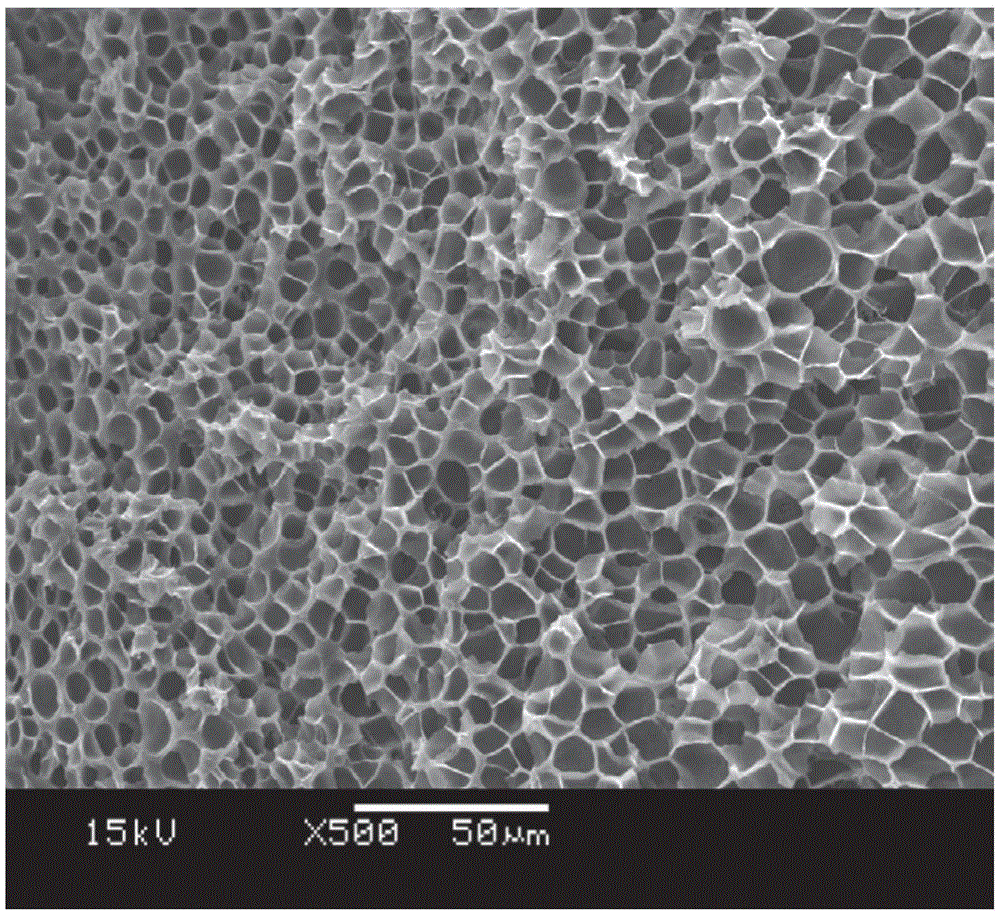 Modified polyamide-6 microcellular foam material and preparation method thereof