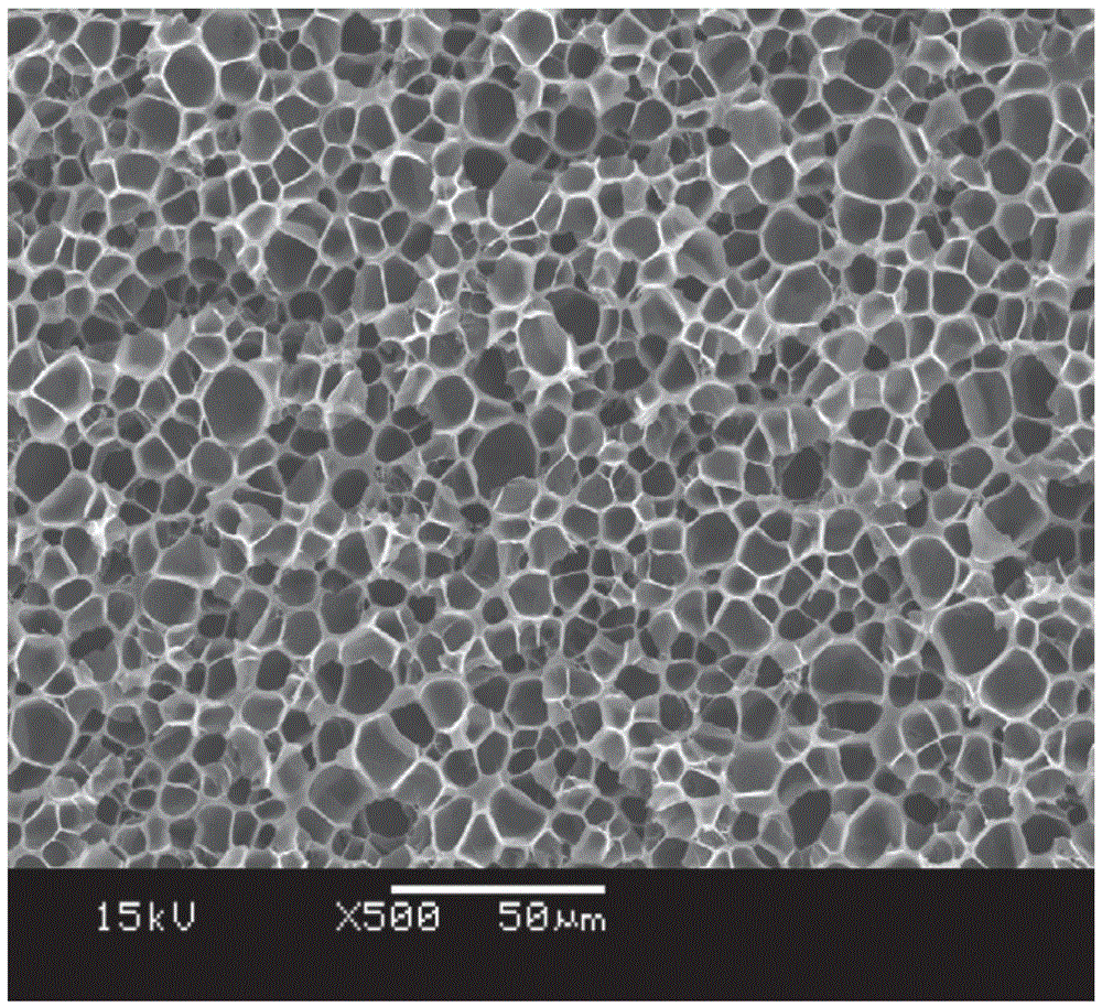 Modified polyamide-6 microcellular foam material and preparation method thereof