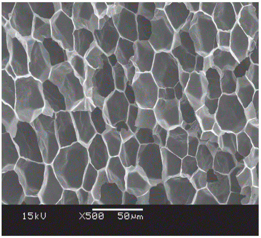 Modified polyamide-6 microcellular foam material and preparation method thereof