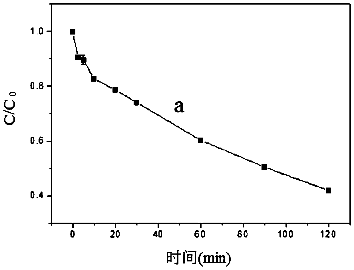 Method for direct oxidative degradation of aniline organic pollutants in water