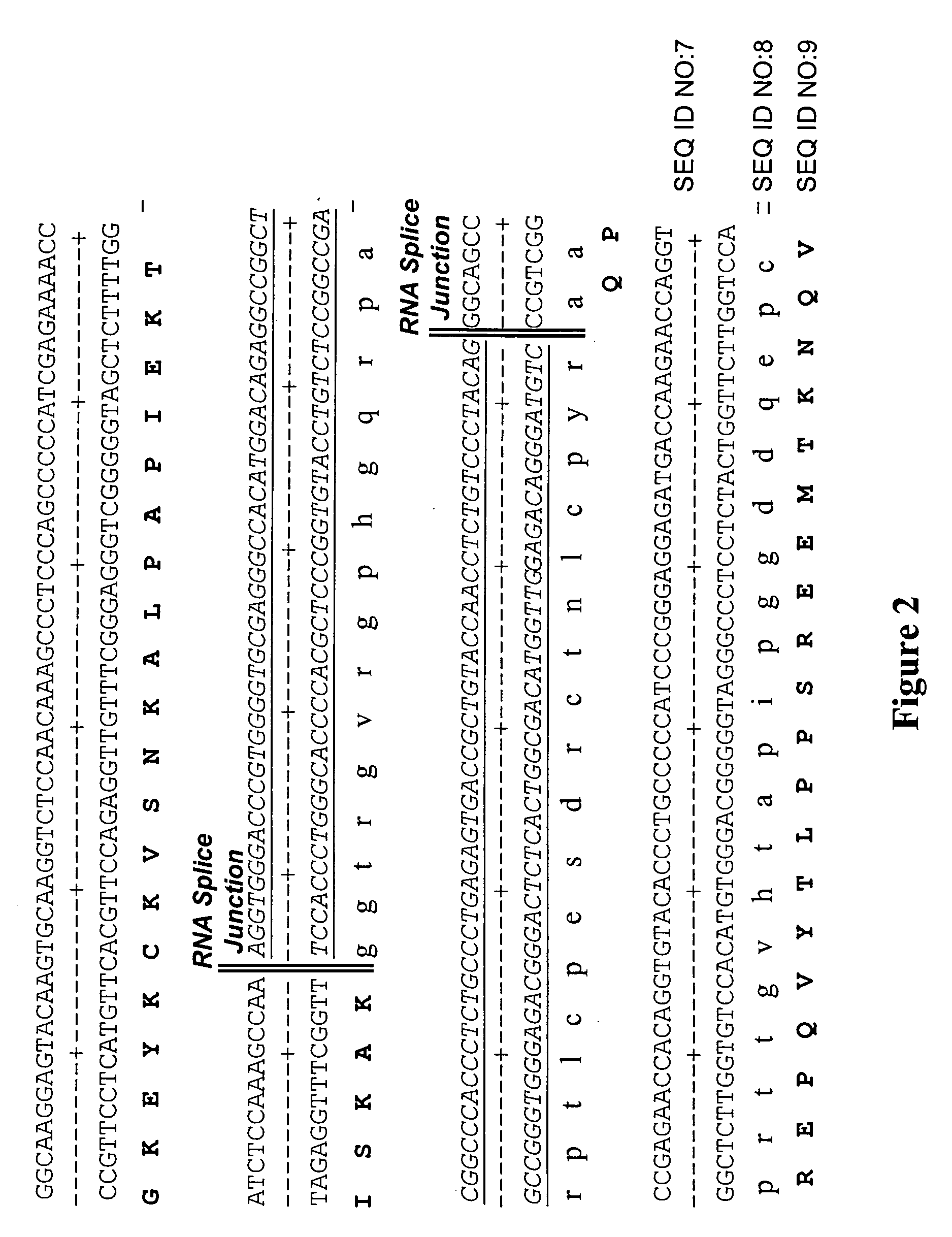 Methods and compositions for improving recombinant protein production