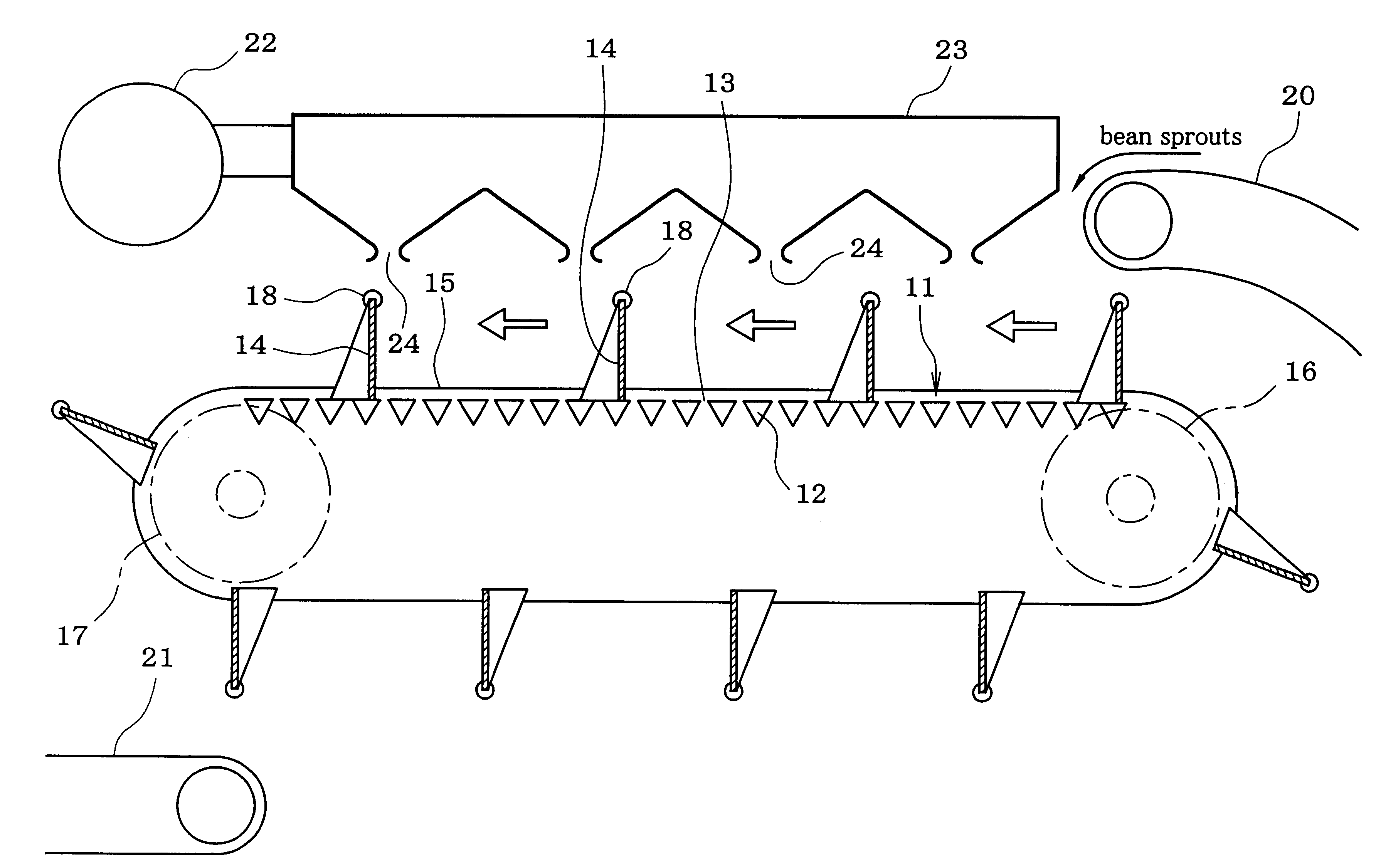 Method and apparatus for severing root of bean sprout and dewatering bean sprout