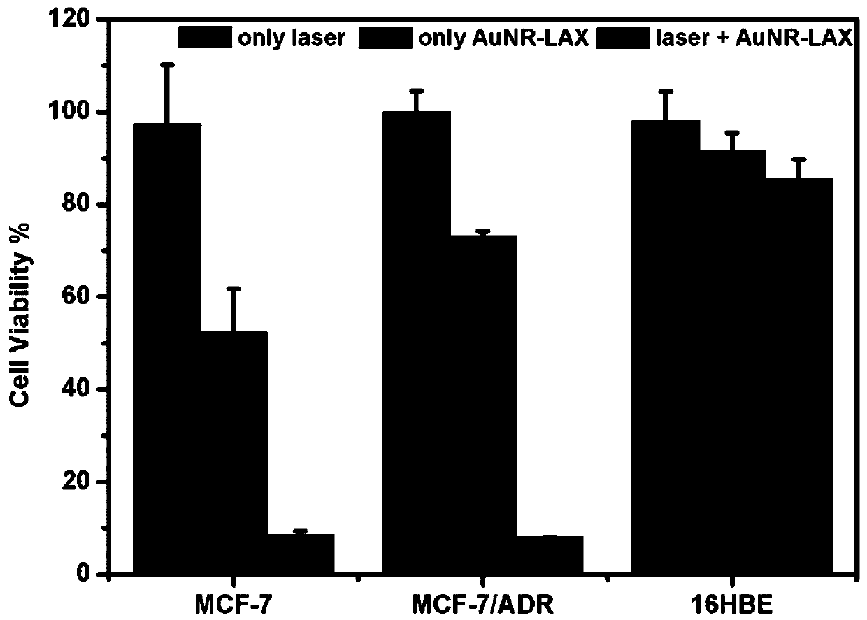 Drug administration system targeting tumor cells and preparation method and application of drug administration system