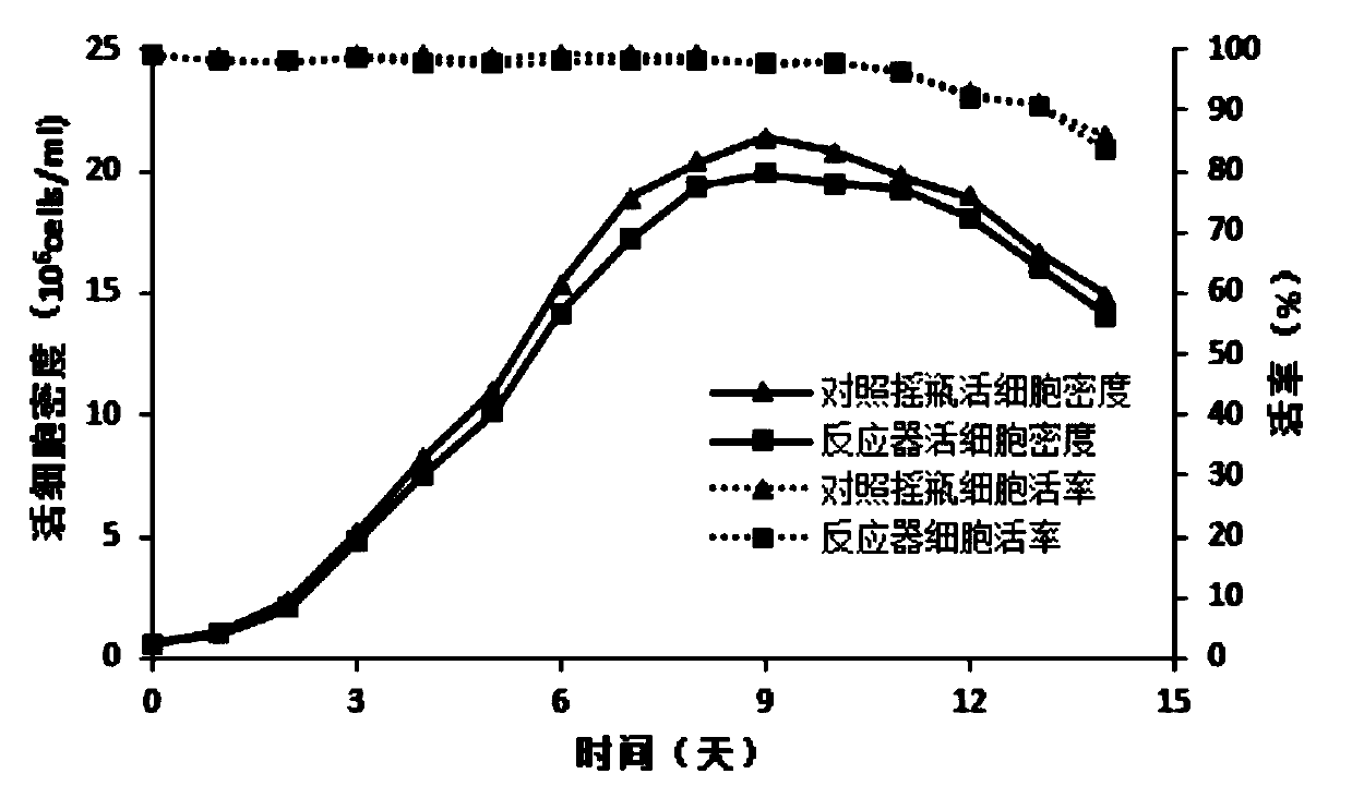 CHO cell culture method in bioreactor