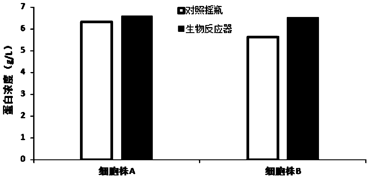 CHO cell culture method in bioreactor