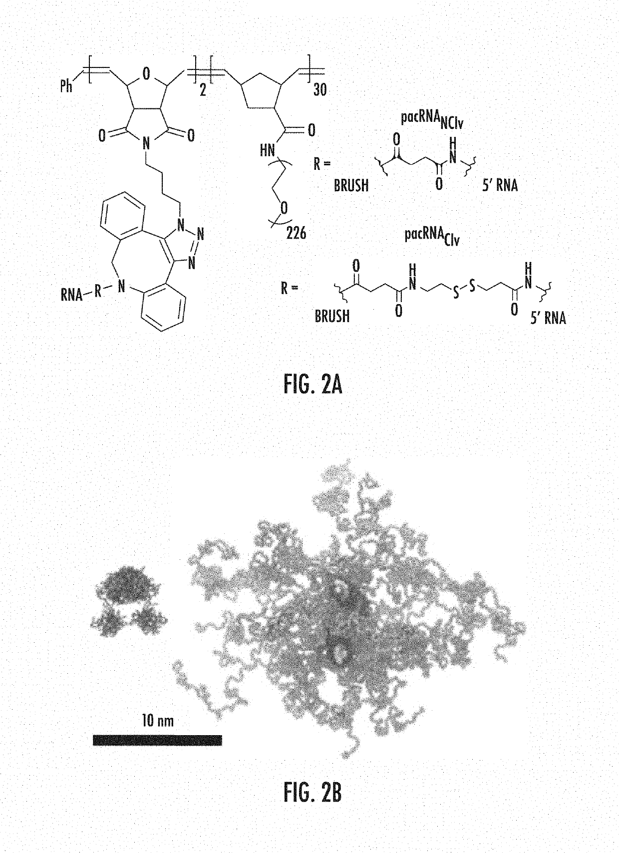 Poly(ethylene glycol) brushes for efficient RNA delivery