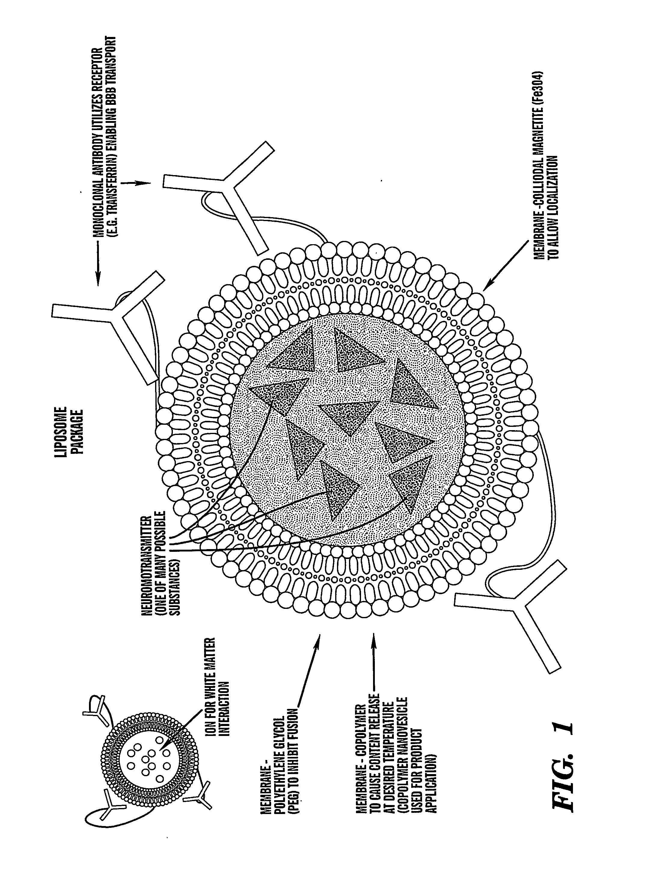 Localized non-invasive biological modulation system