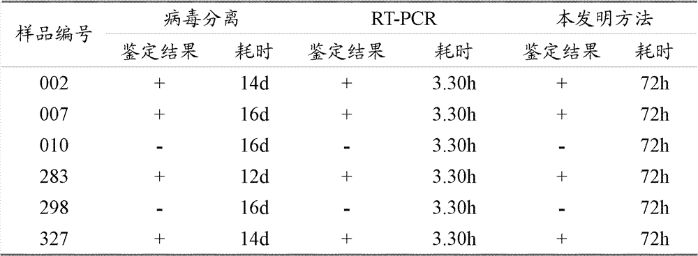 A kind of identification method of chicken infectious bronchitis virus