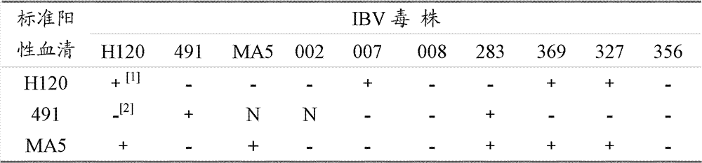 A kind of identification method of chicken infectious bronchitis virus