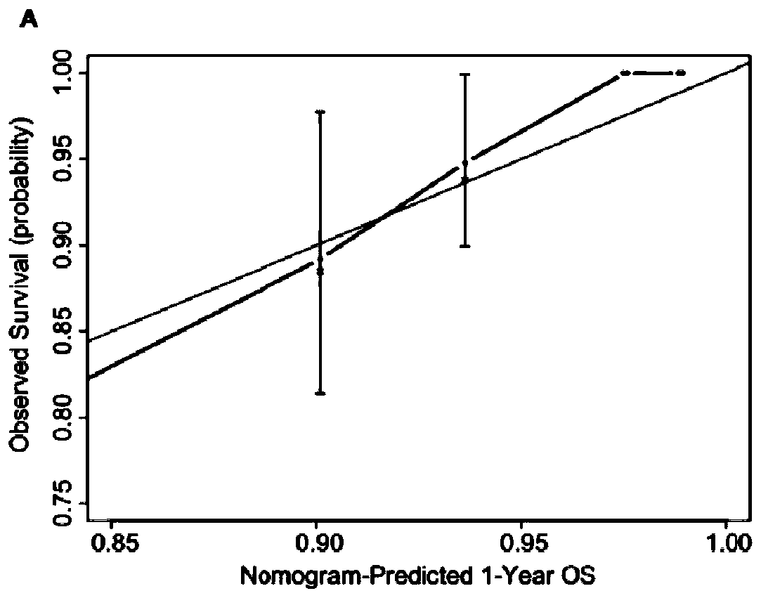 Late breast cancer survival probability prediction nomogram, survival probability prediction method and patient classification method
