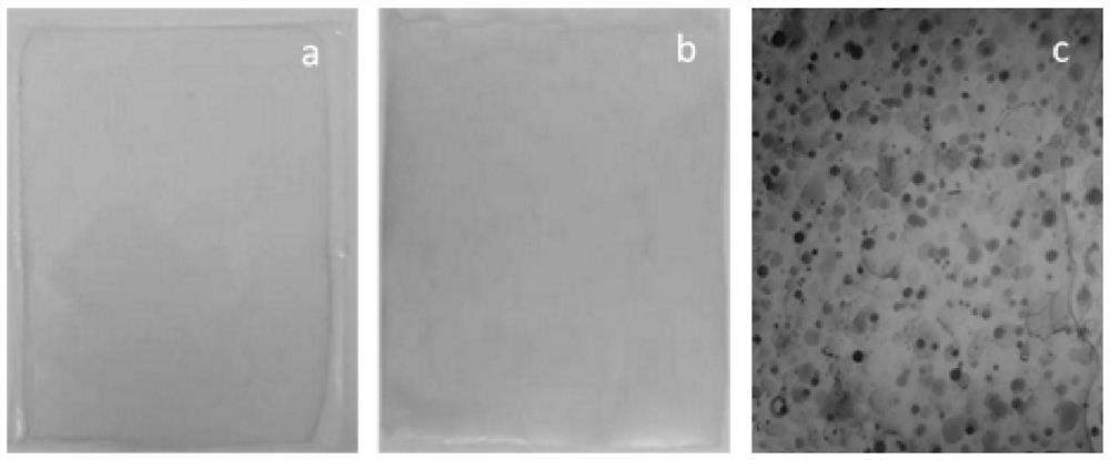 Preparation method of antibacterial preservative film loaded with nanoscale essential oil