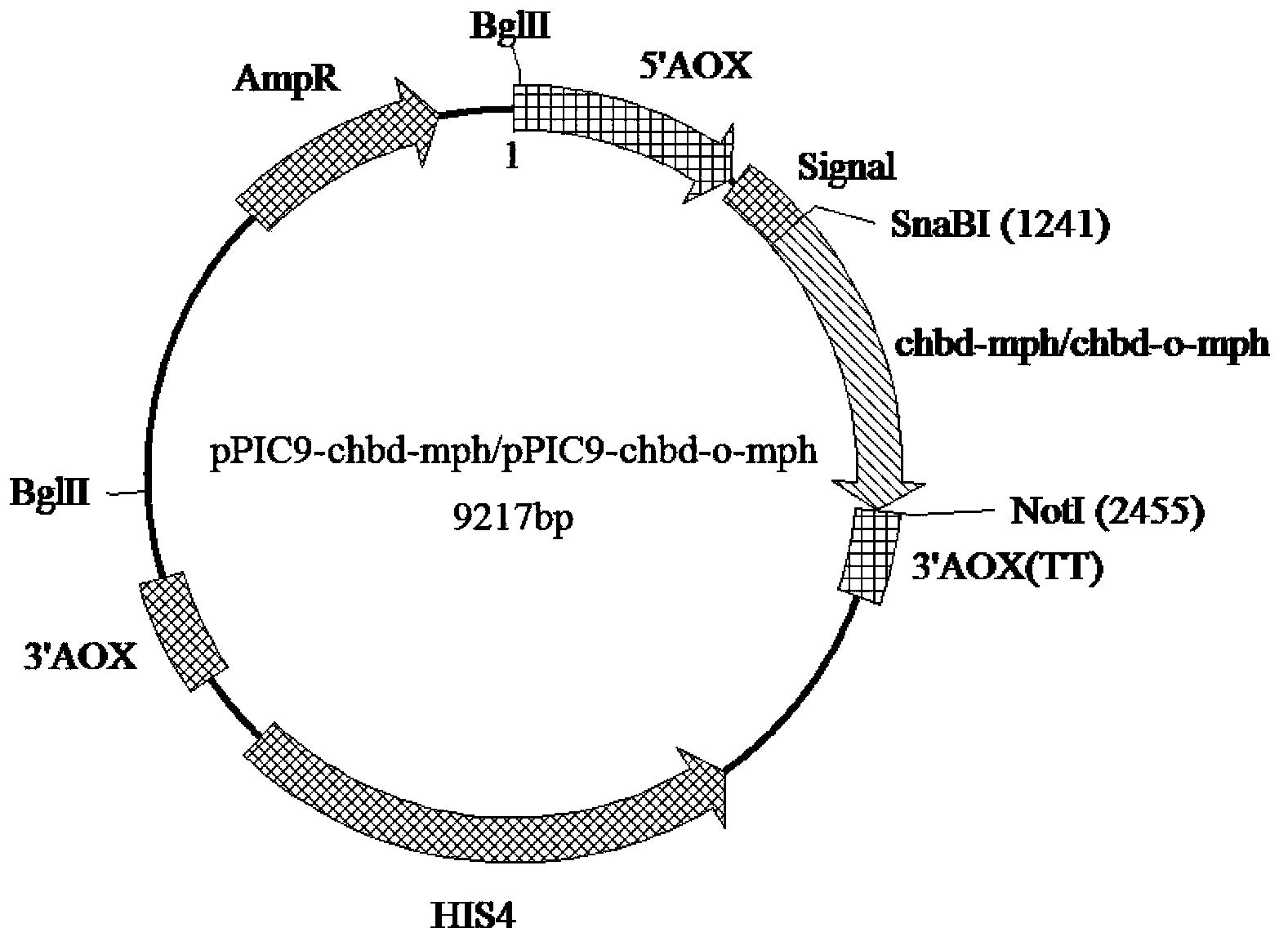 The use of cytochrome binding domain protein as a secretory factor to improve the secretion and expression of exogenous genes in Pichia pastoris