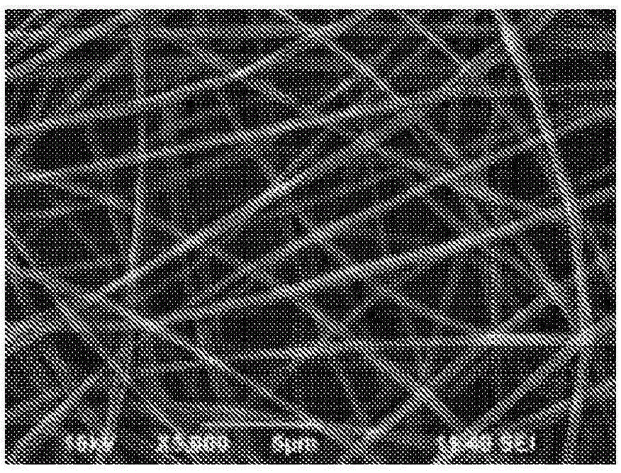 Process for the production of poly(cyanoacrylate) fibres