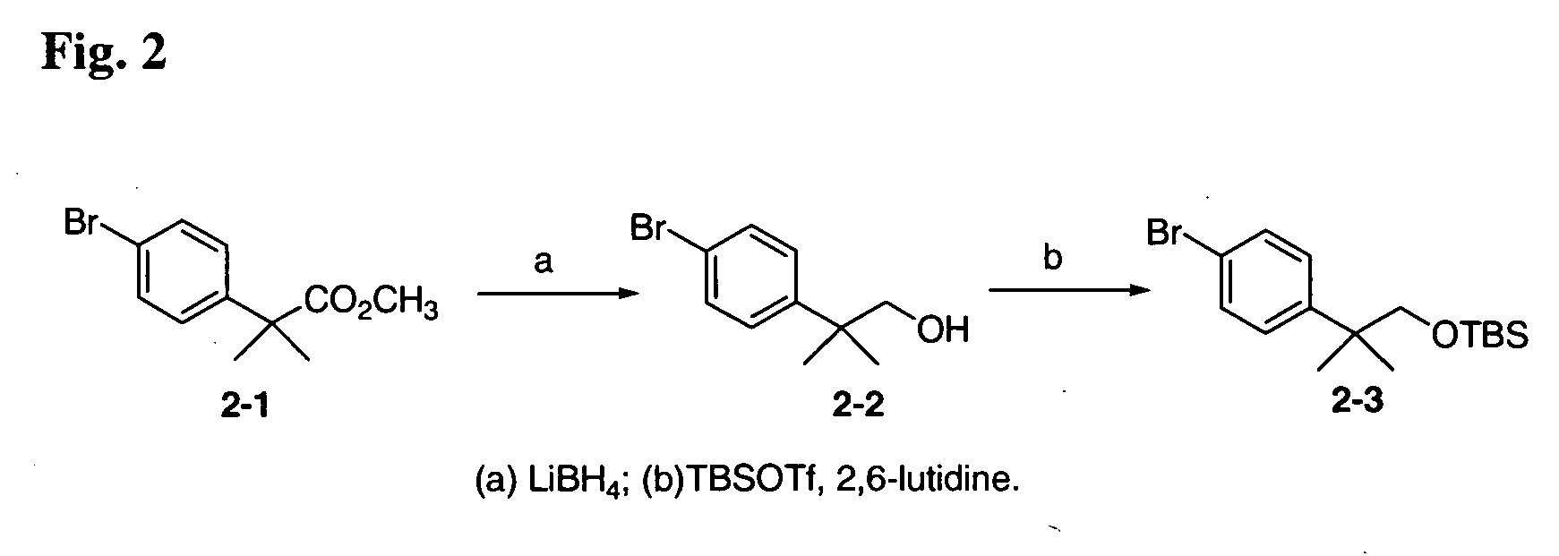 12-Aryl prostaglandin analogs