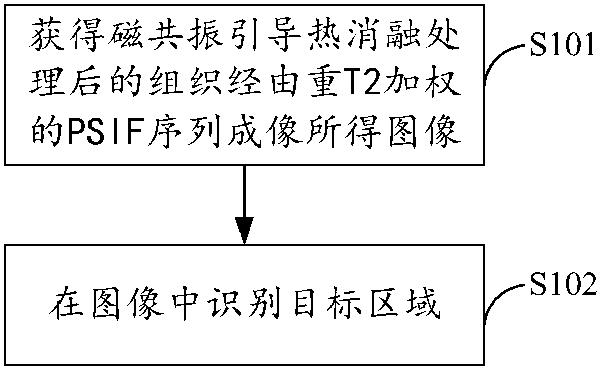 Target area identification and necrotic tissue evaluation method and system, equipment and medium