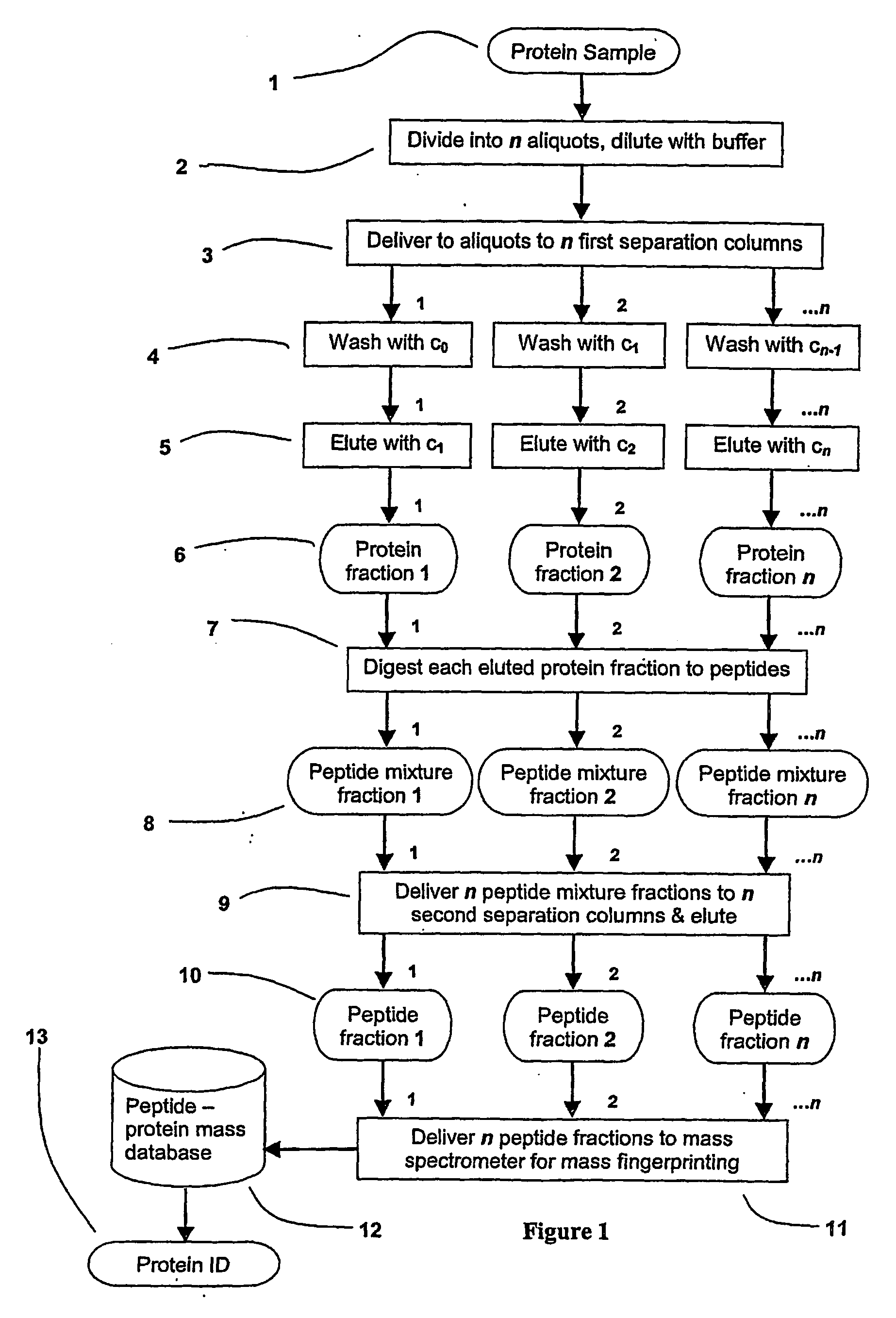 Parallel process for protein or virus separation from a sample